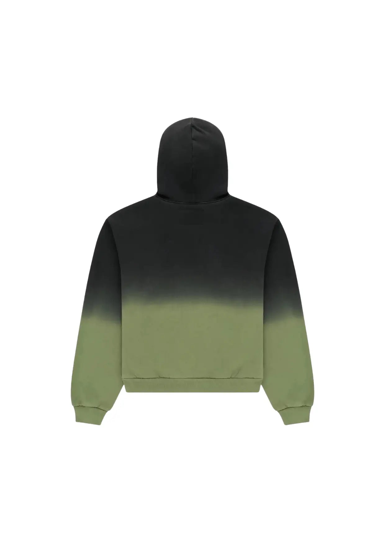 Green ombre web hoodie